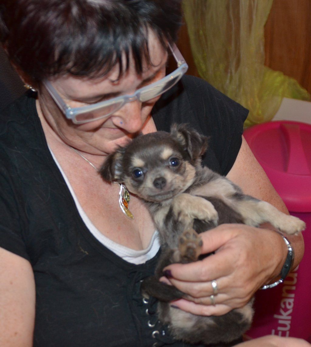 Katharina Jungen Ryter