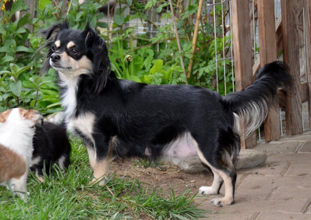 Katharina Jungen Ryter