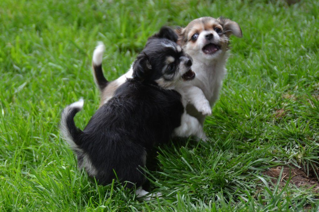 Katharina Jungen Ryter