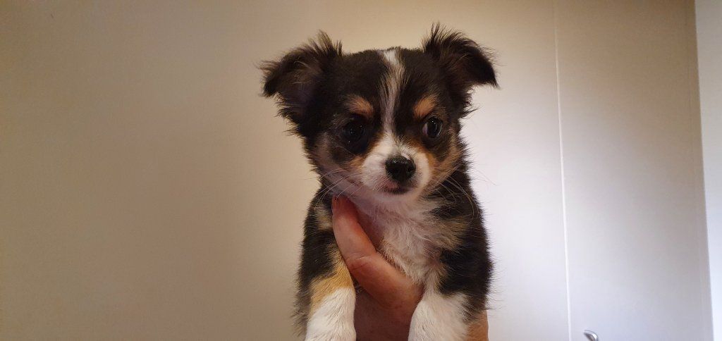 Katharina Jungen Ryter