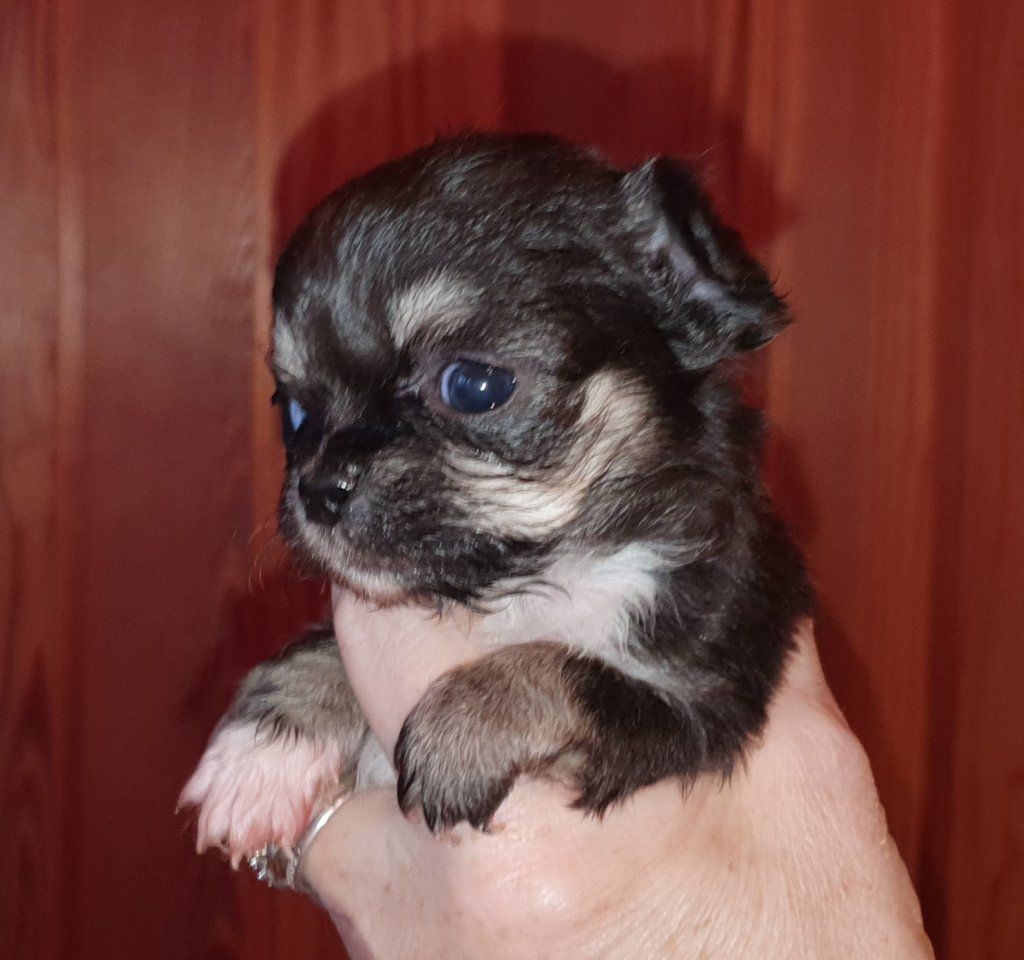 Katharina Jungen Ryter