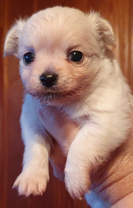 Katharina Jungen Ryter