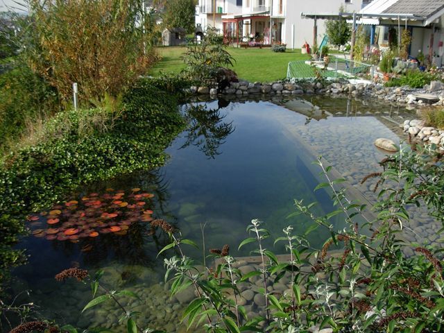 Badeteich | Gysin & Wey | Gartengestaltung, Gartenunterhalt, Feng Shui | Villmergen