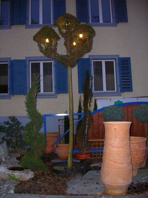 Topfpflanzen | Gysin & Wey | Gartengestaltung, Gartenunterhalt, Feng Shui | Villmergen