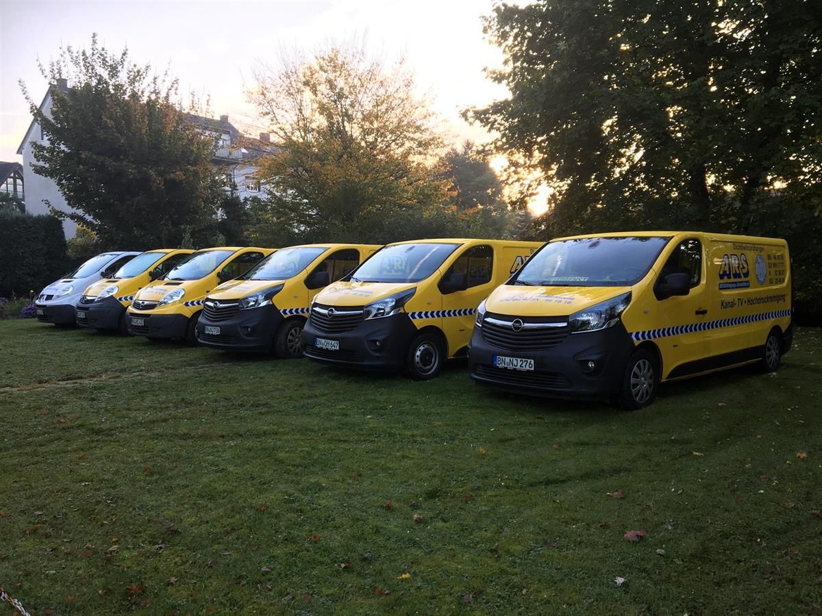 Eine Reihe gelber Lieferwagen parkt auf einer Wiese