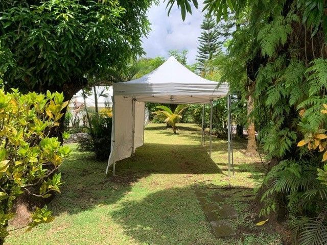 Une tente chapiteau dans un jardin autour de très grands arbres.