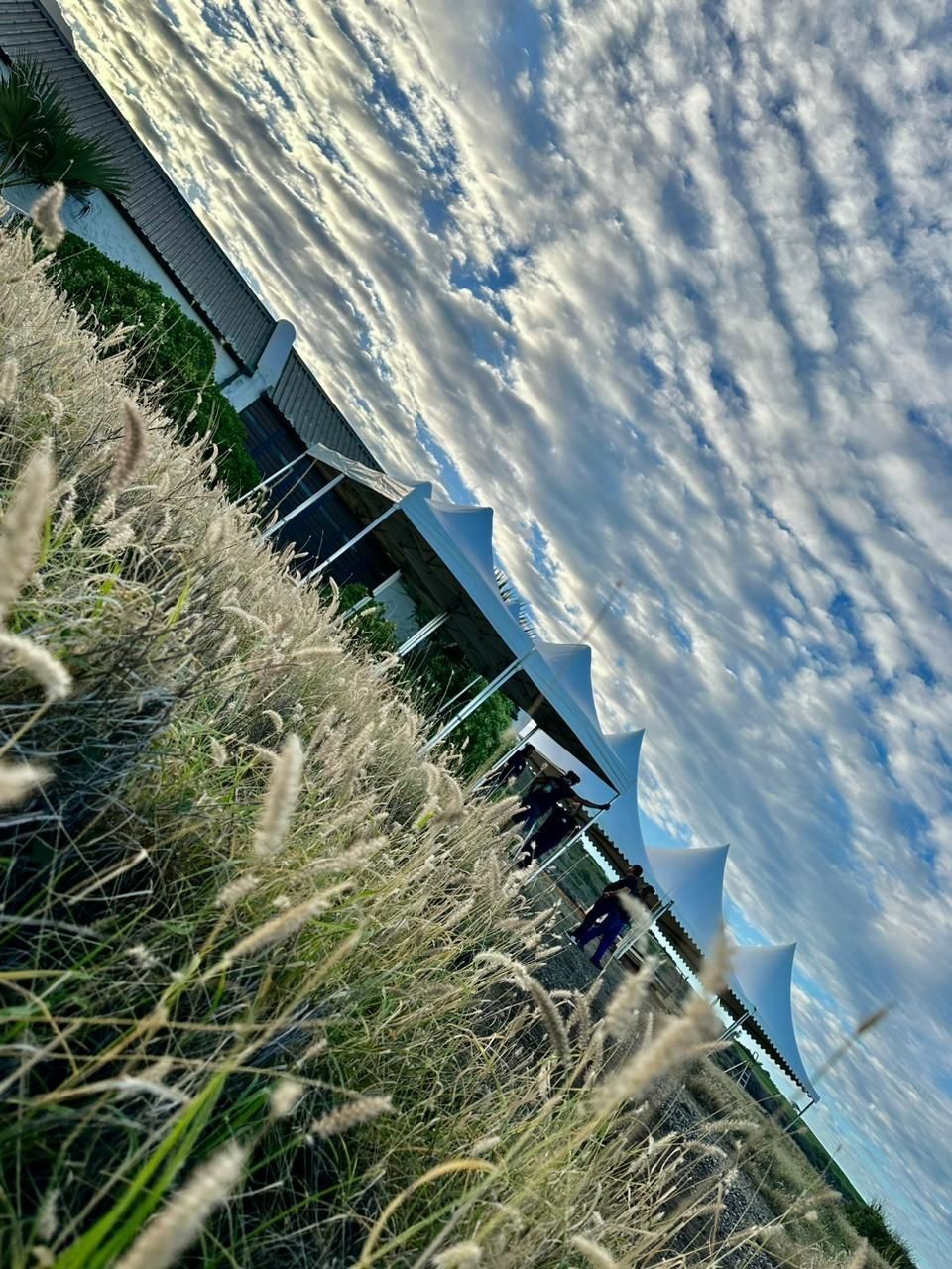 Tente de réception pour un évènement dans un champ avec des personnes