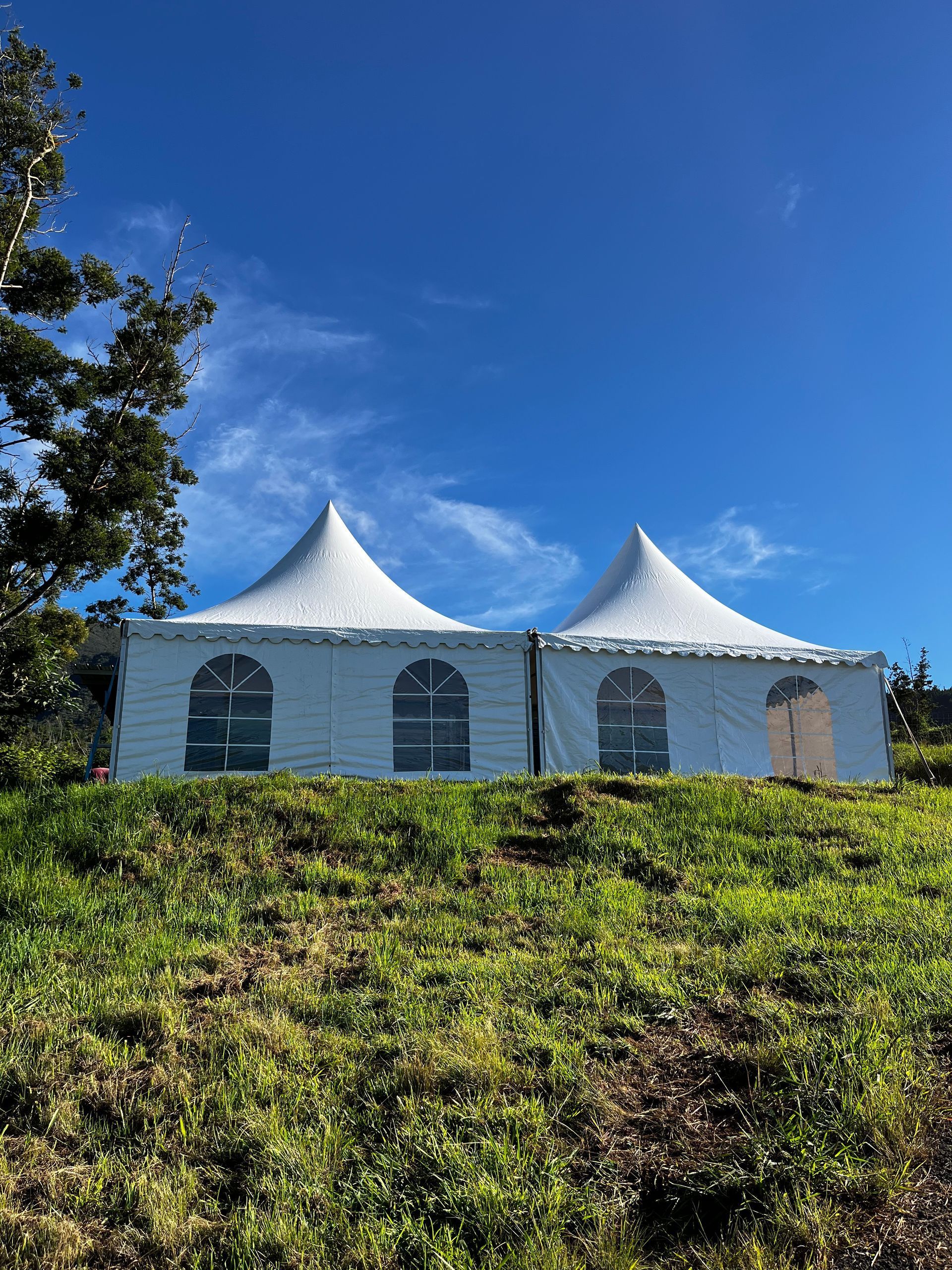 Deux pagodes installées en hauteur sur une élévation.