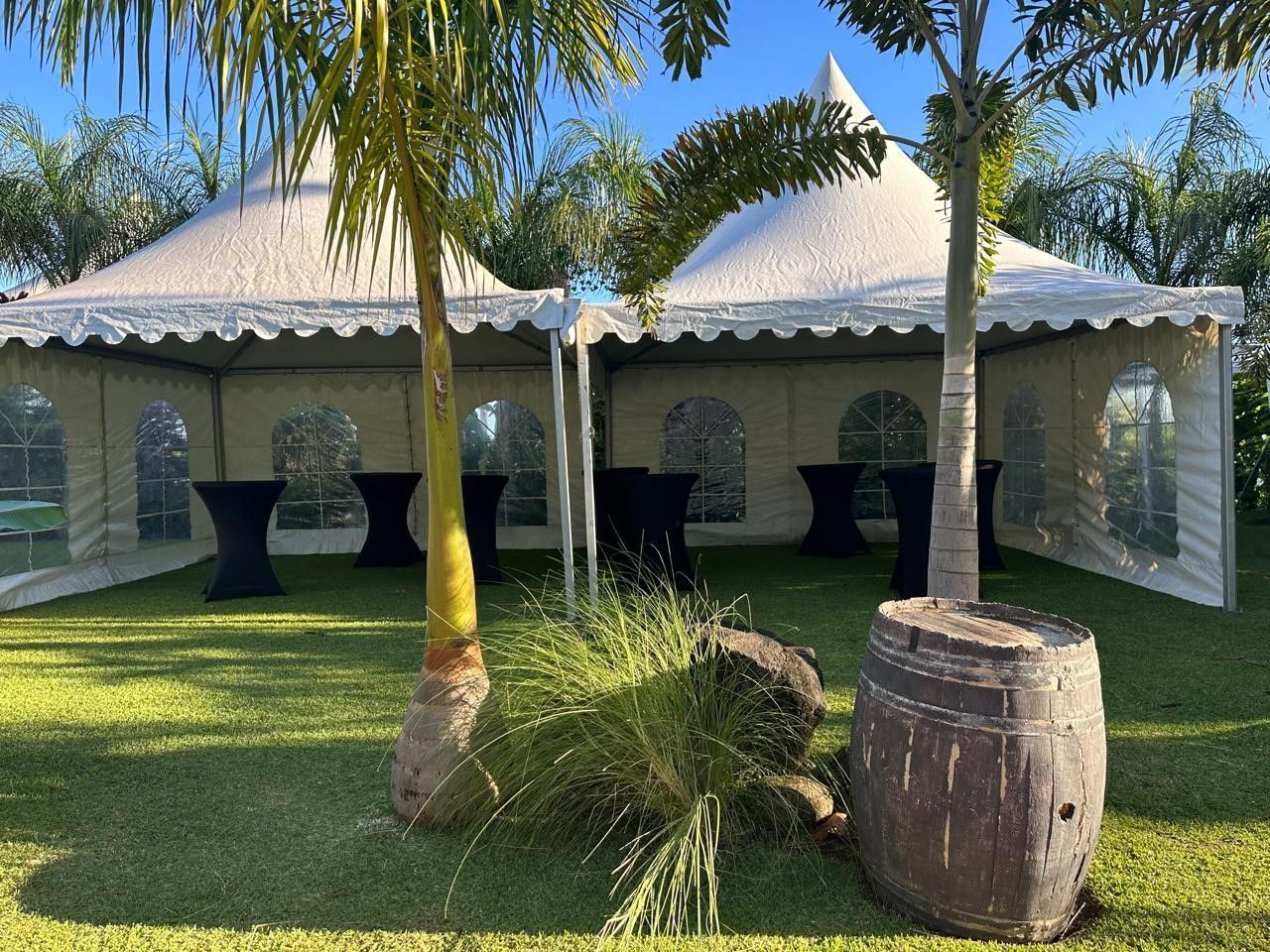 Tente de réception pour un mariage avec des palmiers devant