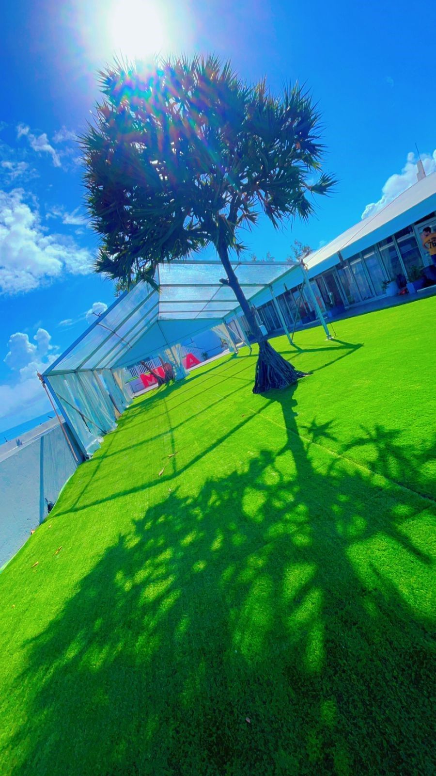 Structure protégée en forme de pyramide devant un arbre.