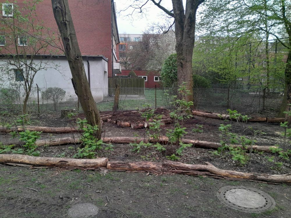 Projekt Schule in Hamburg Winterhude