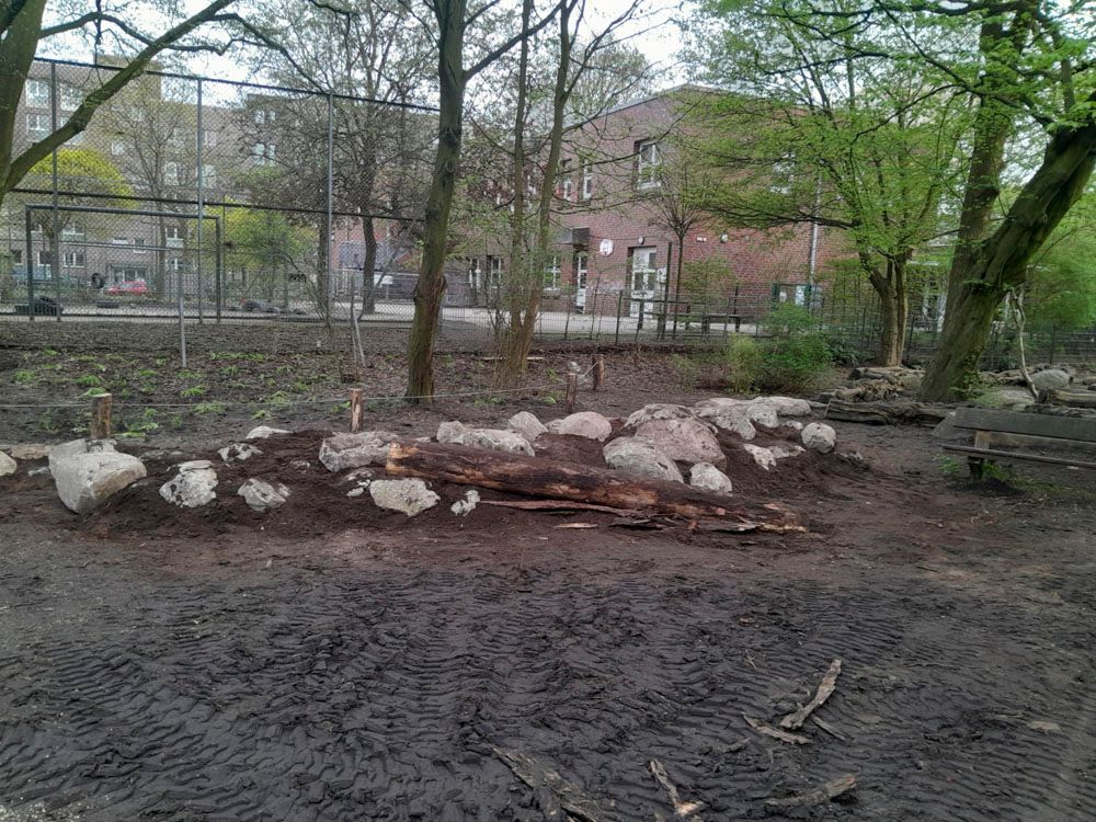 Projekt Schule in Hamburg Winterhude