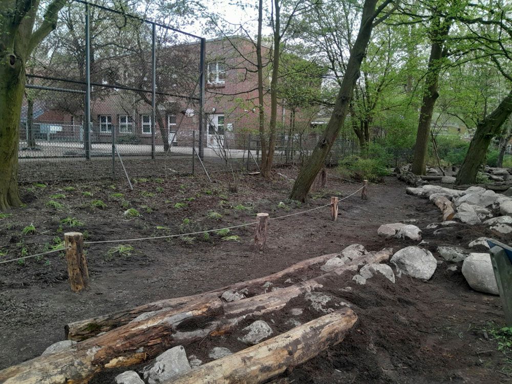 Projekt Schule in Hamburg Winterhude