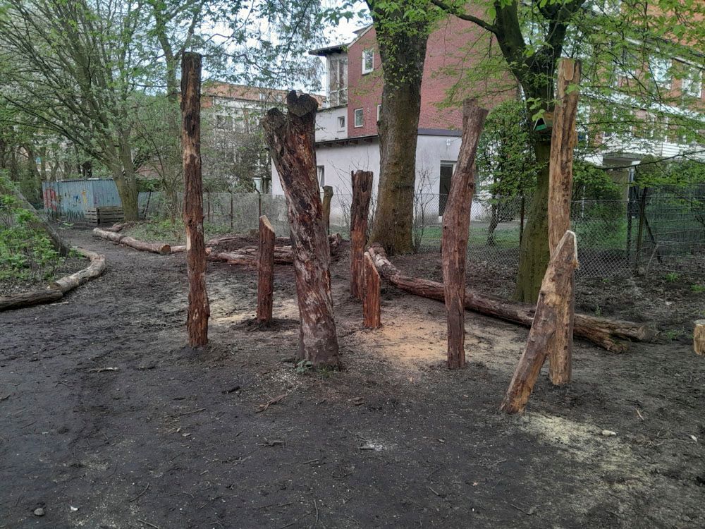 Projekt Schule in Hamburg Winterhude