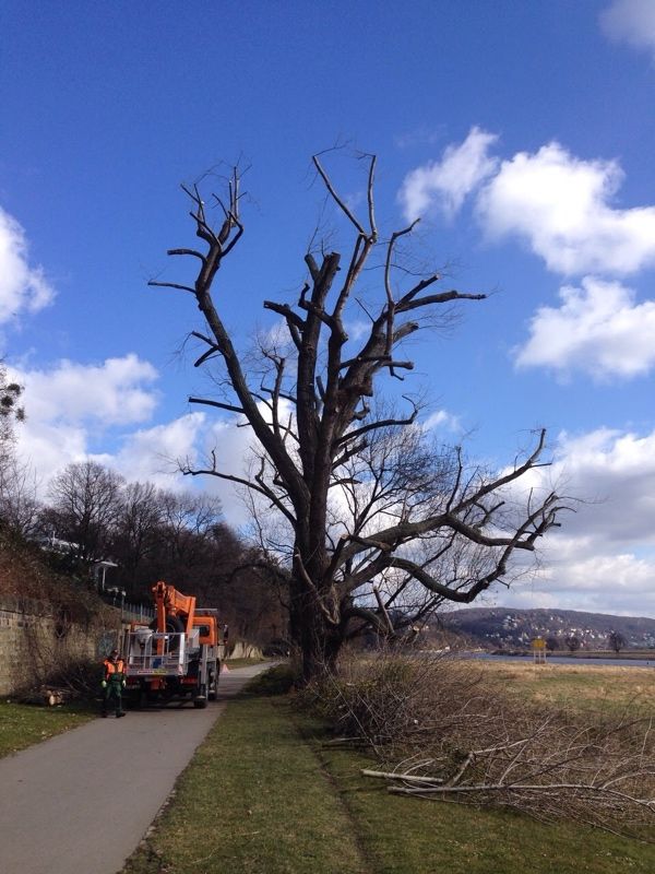 Bild Landschaftsarbeit