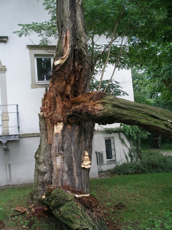 Bild Landschaftsarbeit