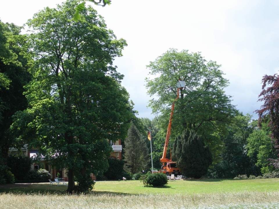 Bild Landschaftsarbeit