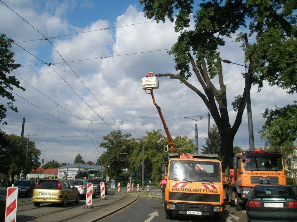 Bild Landschaftsarbeit