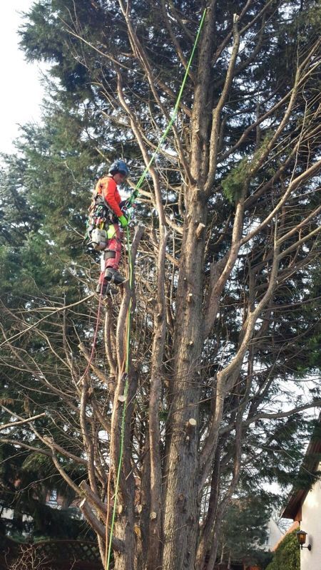 Bild Landschaftsarbeit