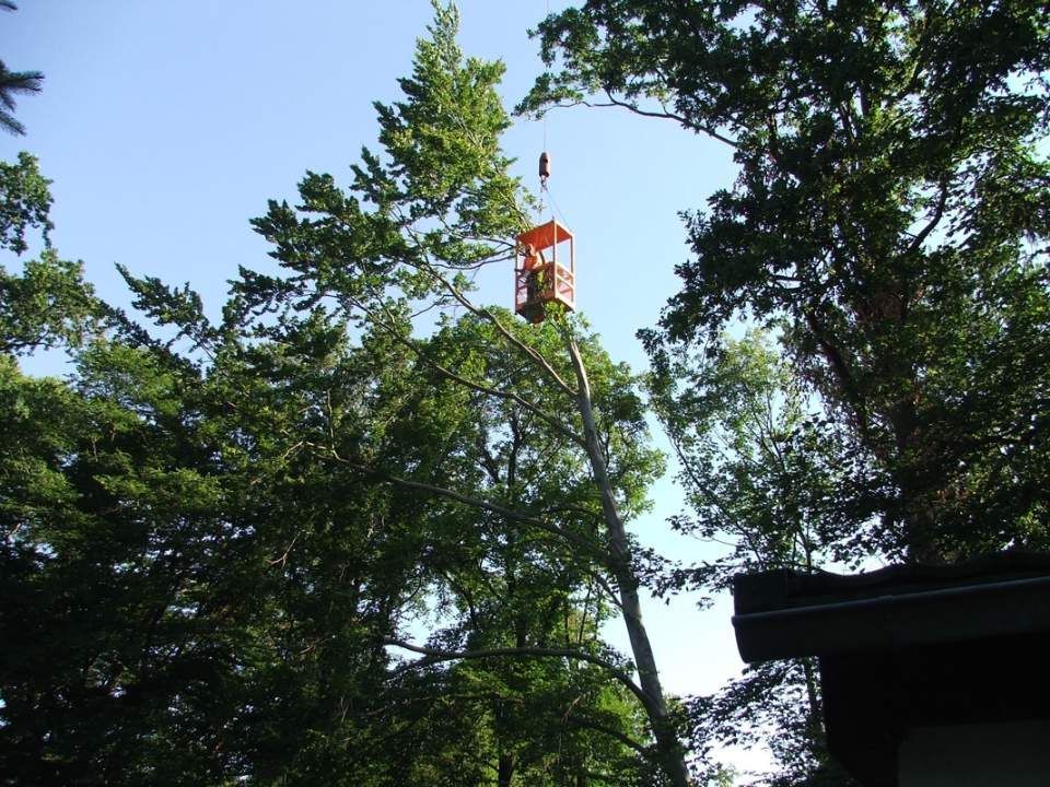 Bild Landschaftsarbeit
