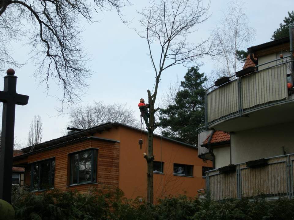 Bild Landschaftsarbeit