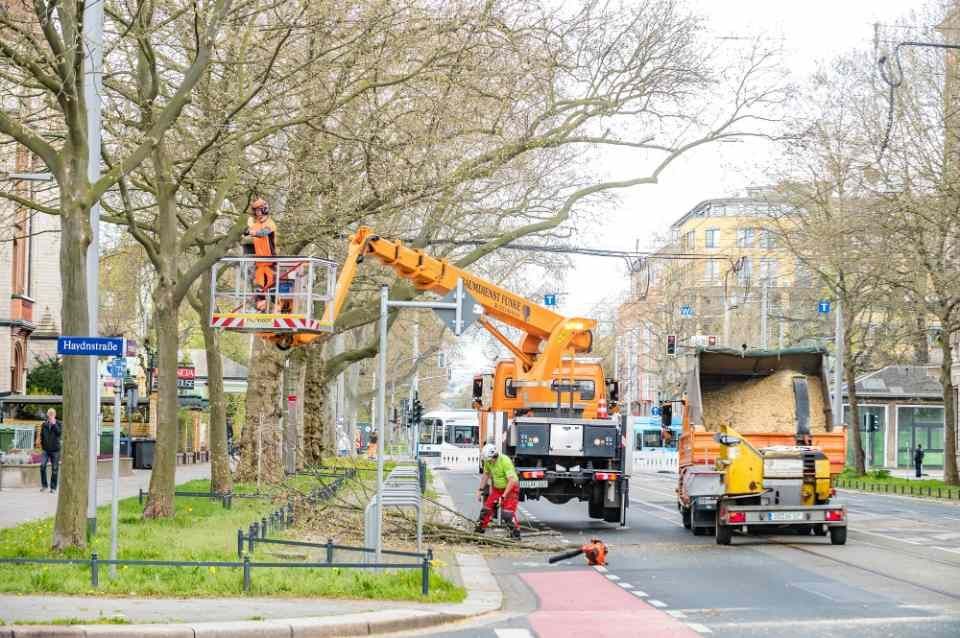 Baumdienst André Funke e.K.