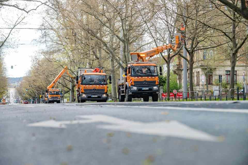 Baumdienst André Funke e.K.