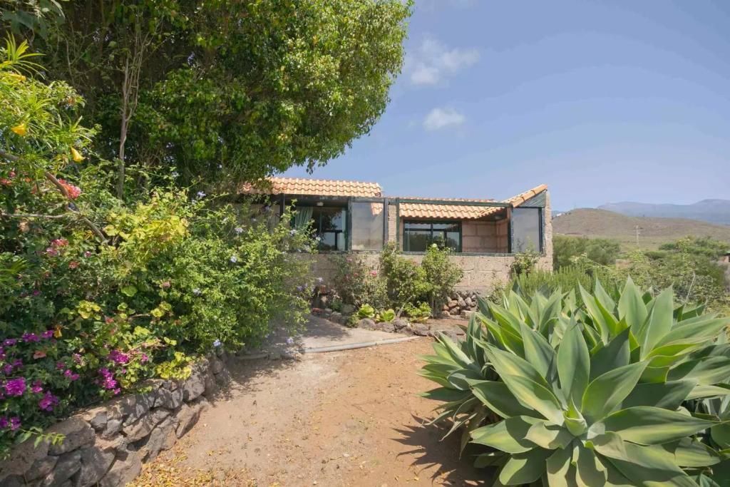 Una casa con techo de piedra y tejas rodeada de exuberantes plantas verdes y un camino de tierra en un día soleado.