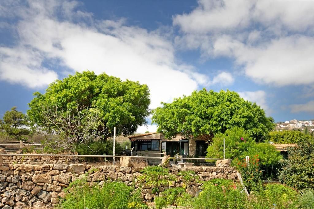 Casa de piedra enclavada tras un muro de piedra, con dos grandes árboles frondosos al frente. Cielo azul con nubes blancas y esponjosas.