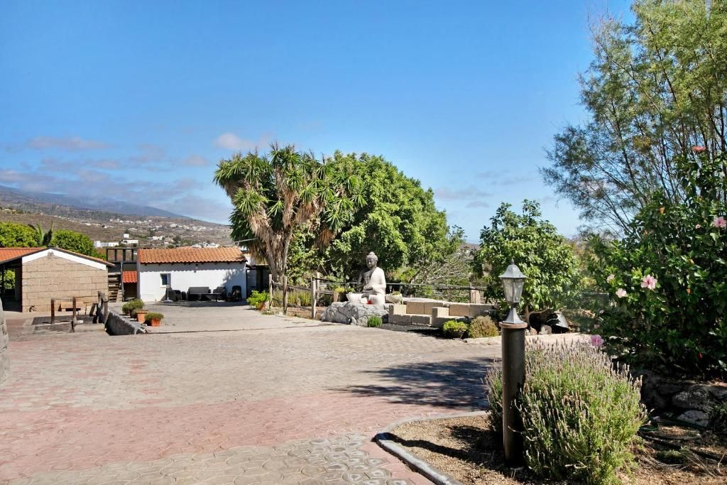 Un patio soleado con edificios, árboles y una estatua bajo un cielo azul. El pavimento de ladrillo y la vegetación diversa crean un tranquilo espacio exterior.