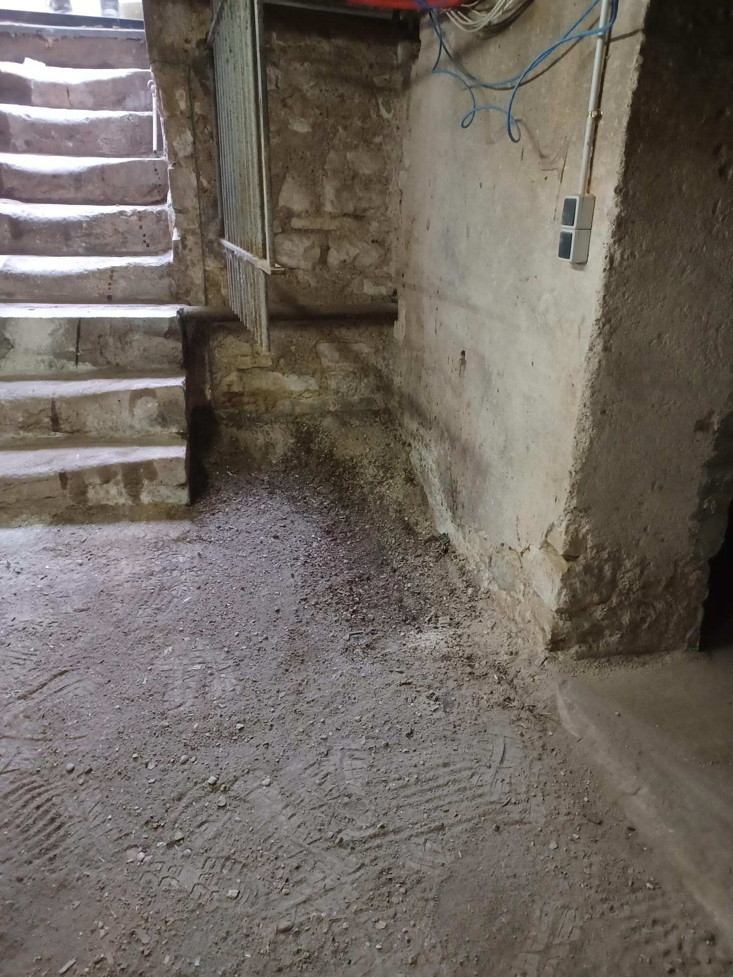 Une partie du sous-sol en béton avec escalier en pierre qui a été nettoyé. Ceci est après l'intervention du professionnel.