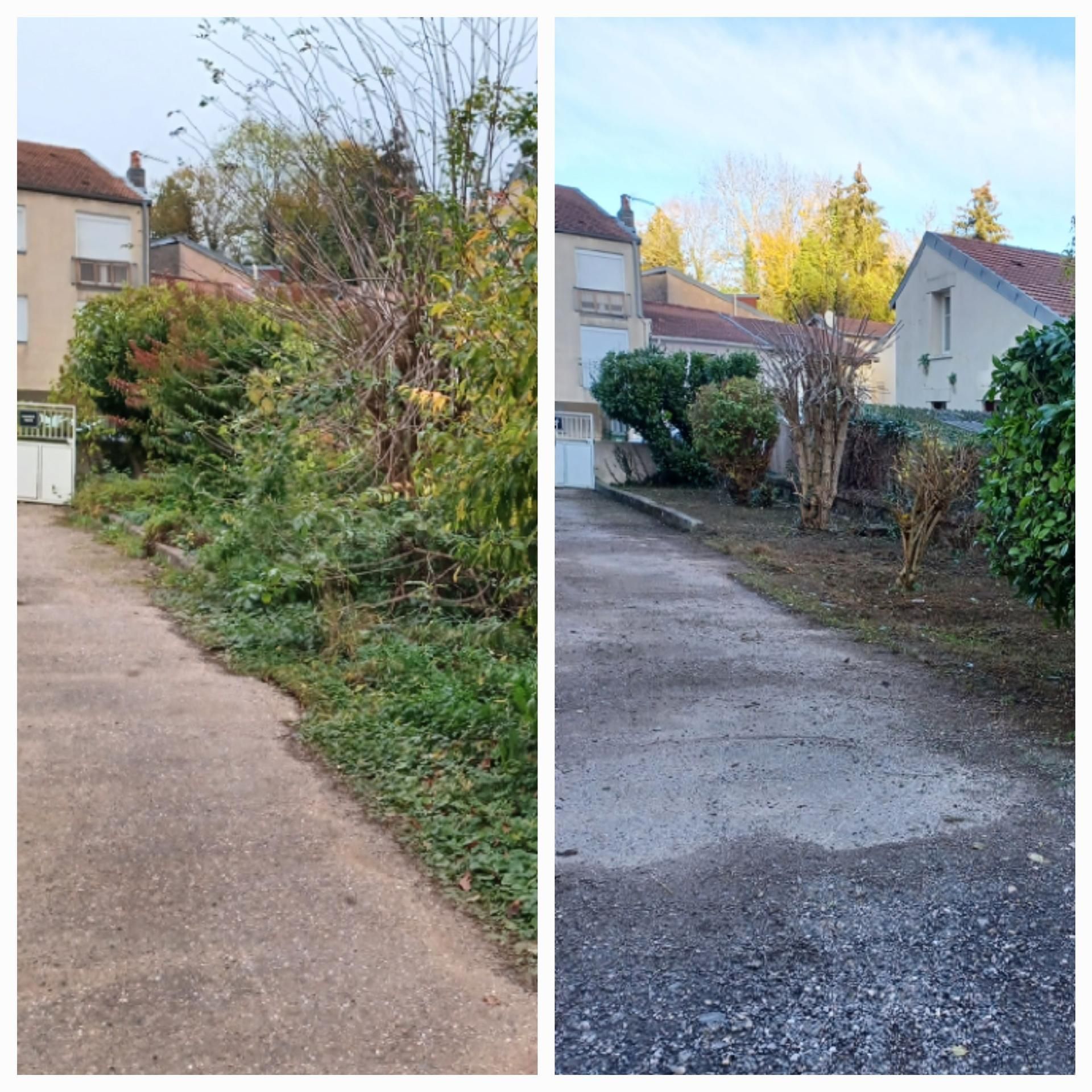 Vue avant et après la coupe d'une allée envahie par la végétation.