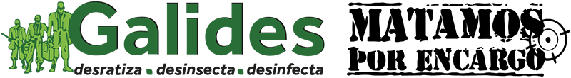 logotipo cabecera