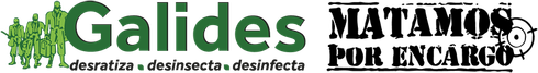 logotipo cabecera