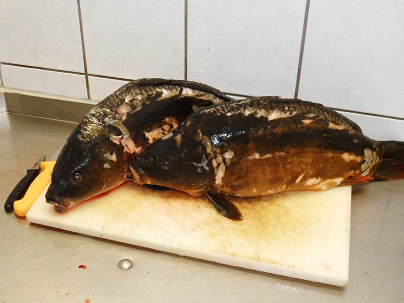 Fischverkauf Armin Peschel