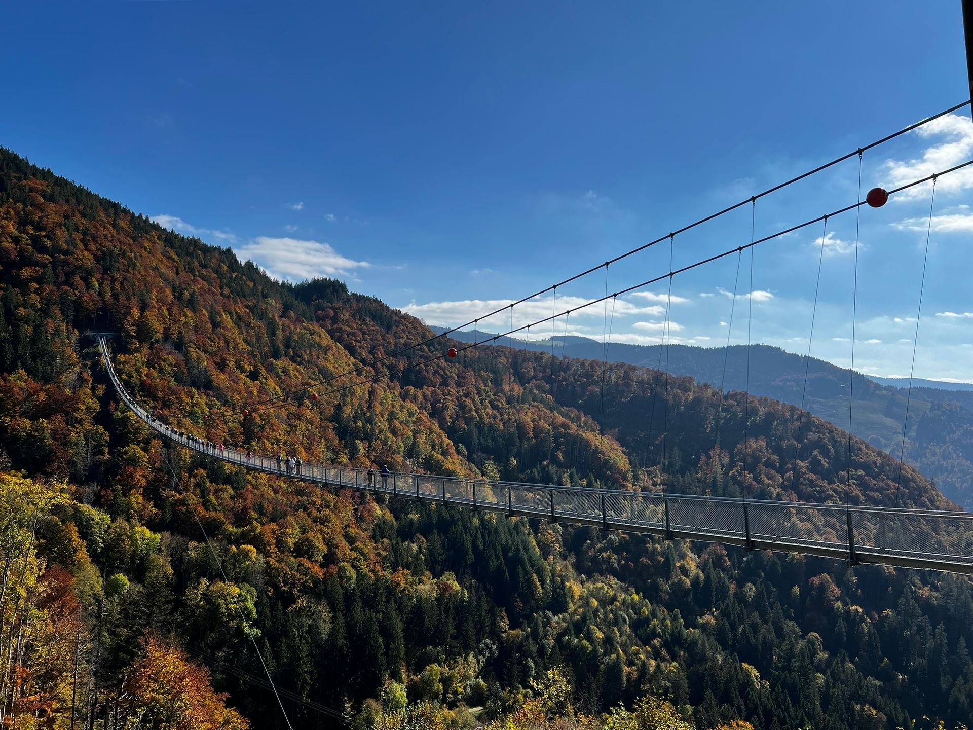 Blackforestline Todtnau, riesige Hängebrücke. Spektakuläres Abenteuer.