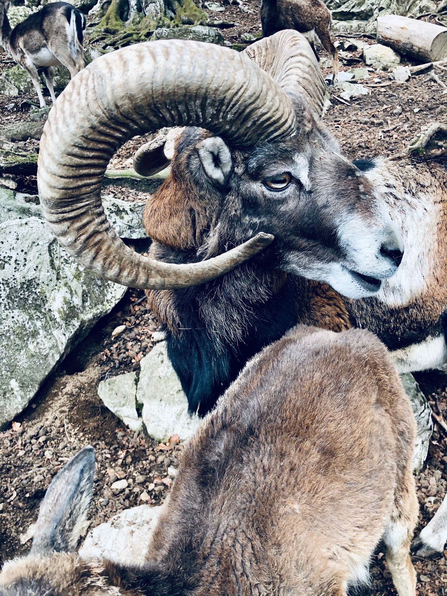 Der Steinvasenpark, wunderschöner Freizeitpark.