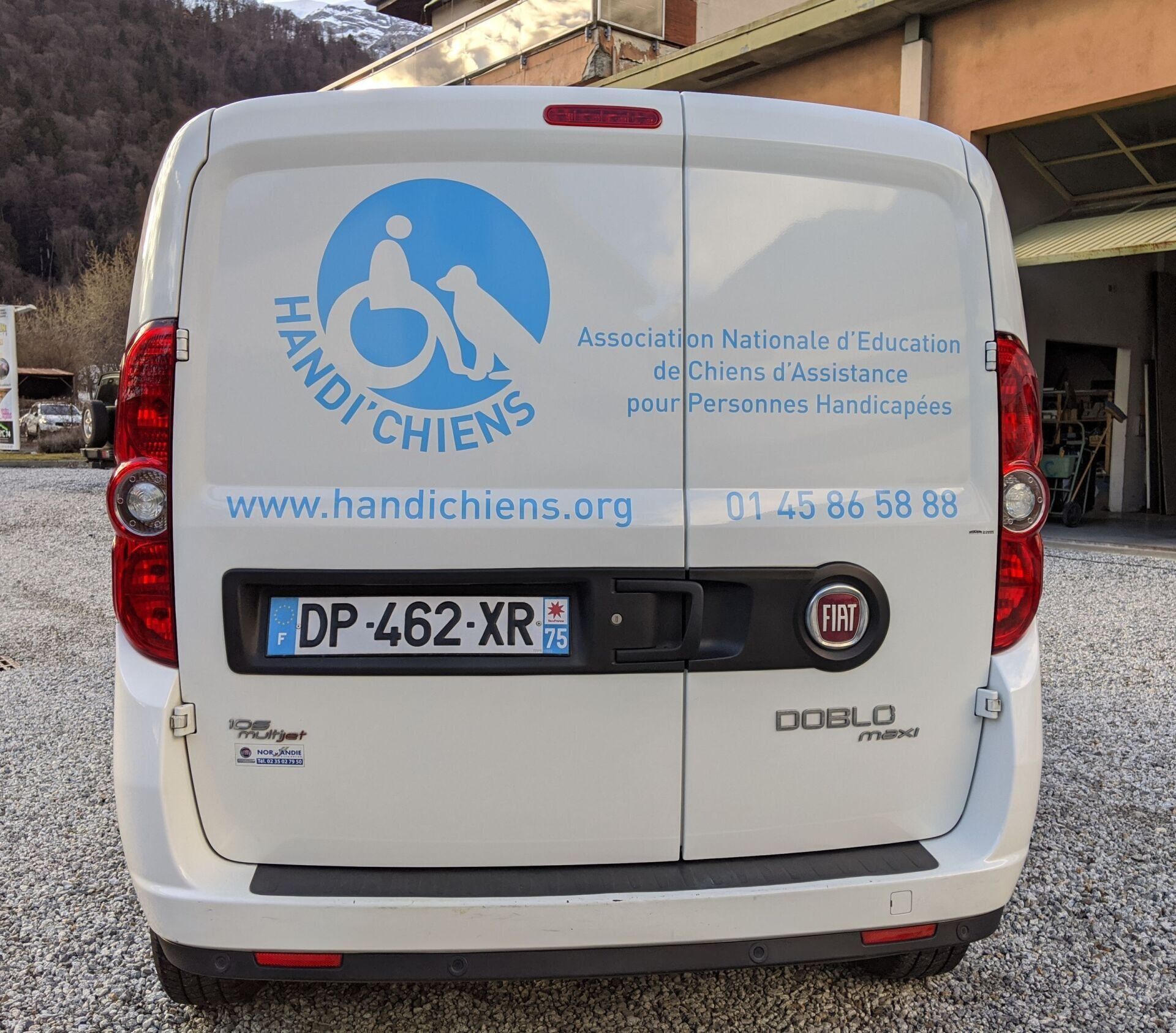 logo adhésif voiture