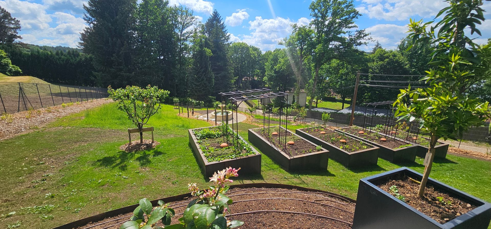 Un jardin avec des plates-bandes surélevées, des arbres et une zone herbeuse.