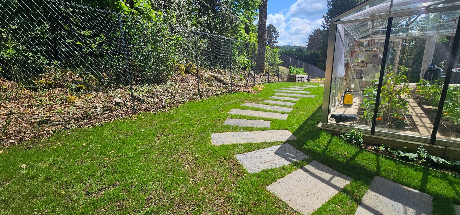 Gazon et chemin en pierres