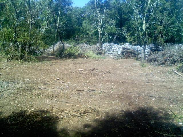 Préparation de terrain