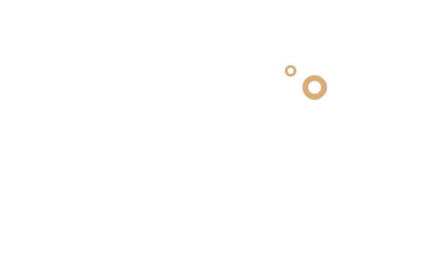 Logo Vendom.