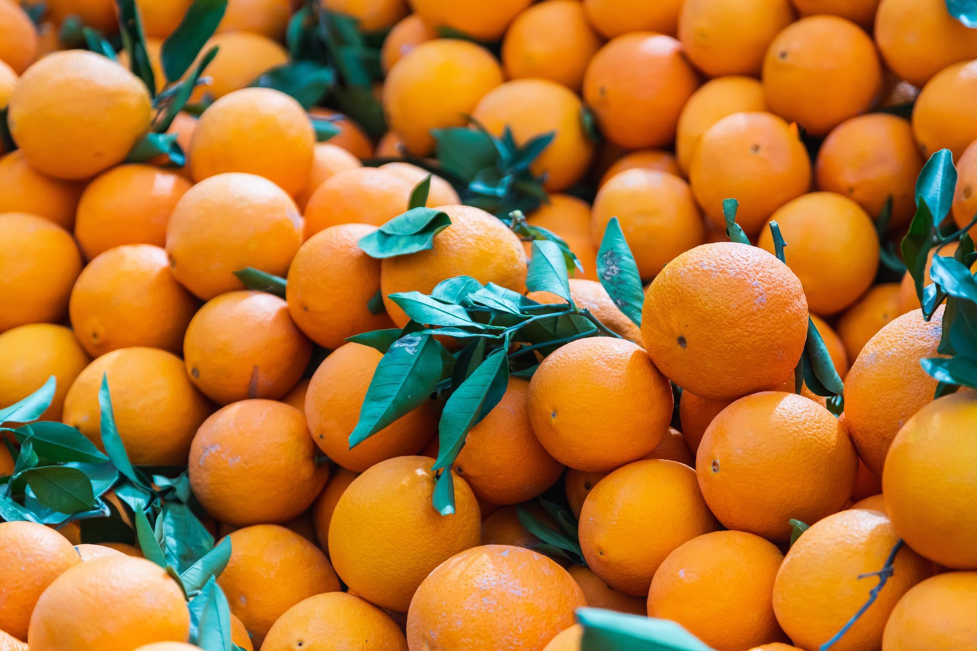 Un montón de naranjas con hojas verdes sobre ellas.