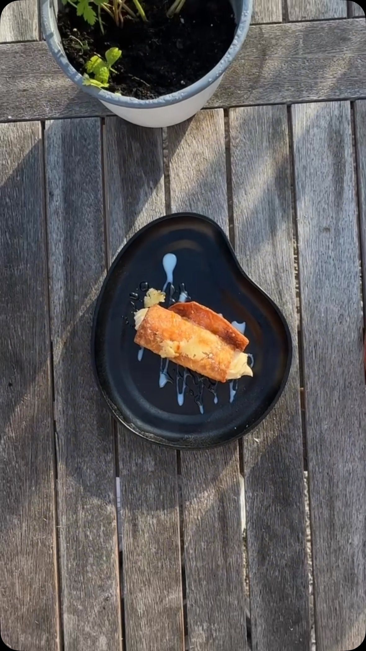 Un plato de comida está sobre una mesa de madera al lado de una planta en maceta.