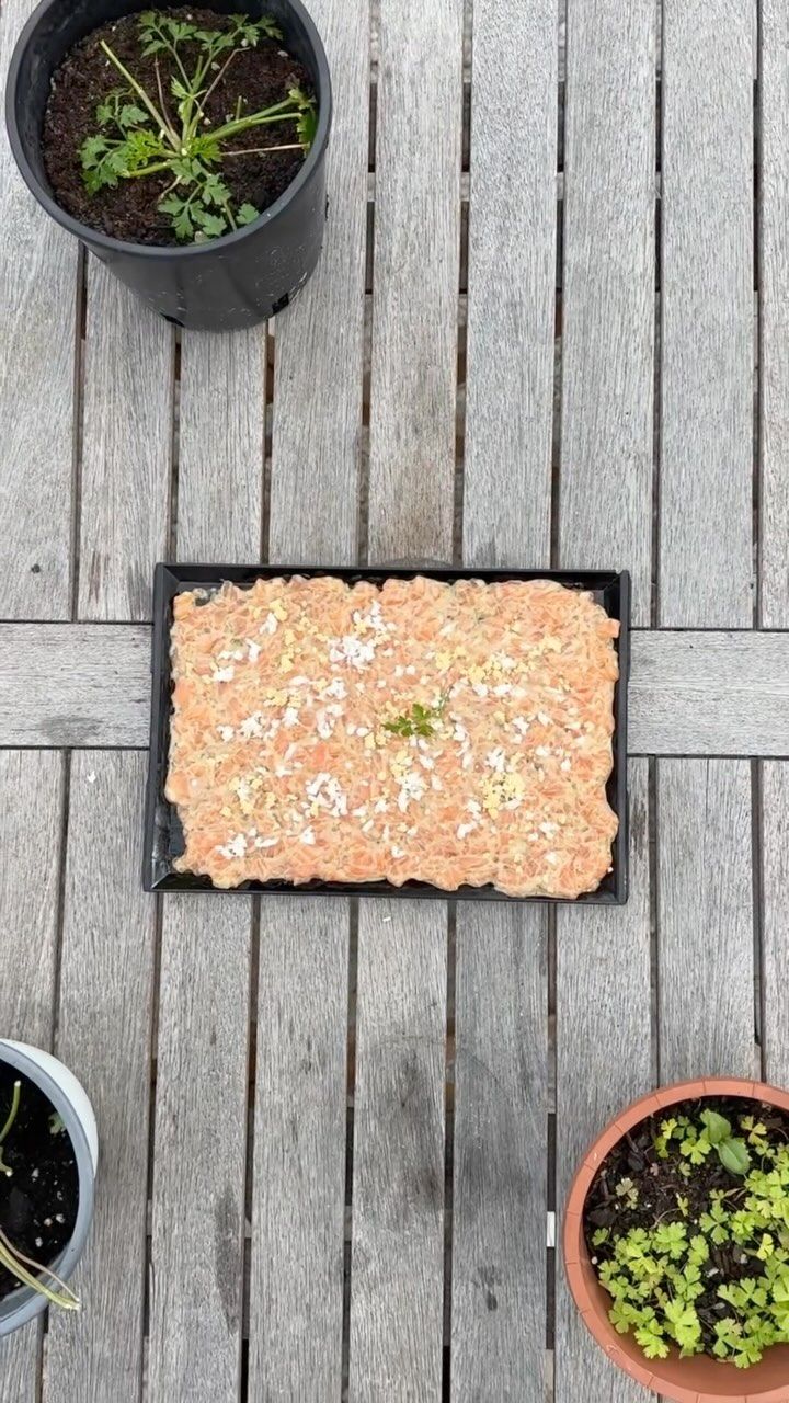 Una mesa de madera cubierta con una bandeja de comida y plantas en macetas.