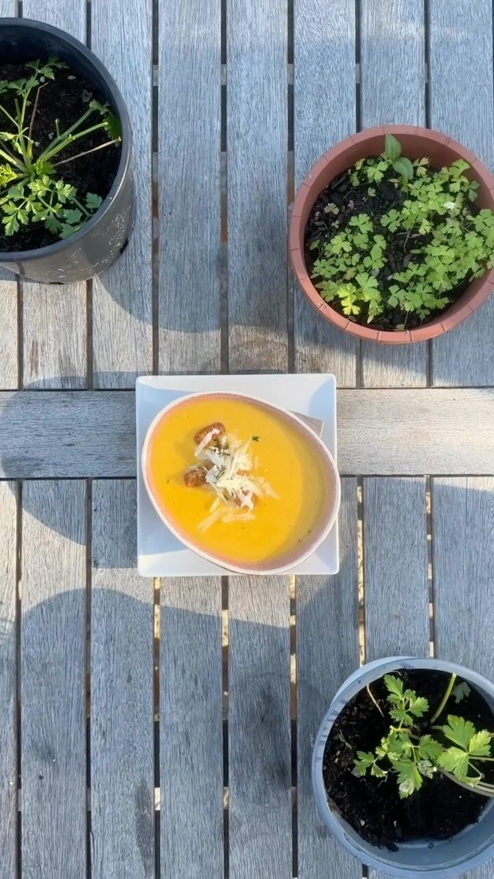 Un tazón de sopa está sobre una mesa de madera al lado de plantas en macetas.