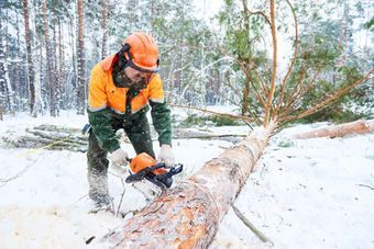 Tmi Puuapu Lehtosaari