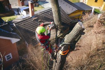 Tmi Puuapu Lehtosaari