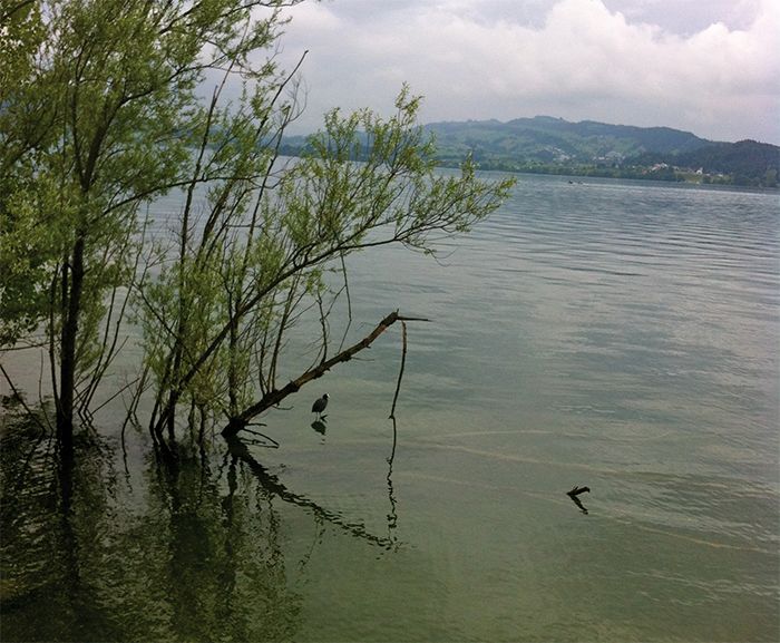 Atemschule Maya - Margarita Rust Stirnimann in Walchwil