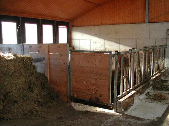 Stallanlage mit Heu - Innenansicht